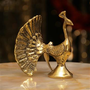 طاووس دم پهن